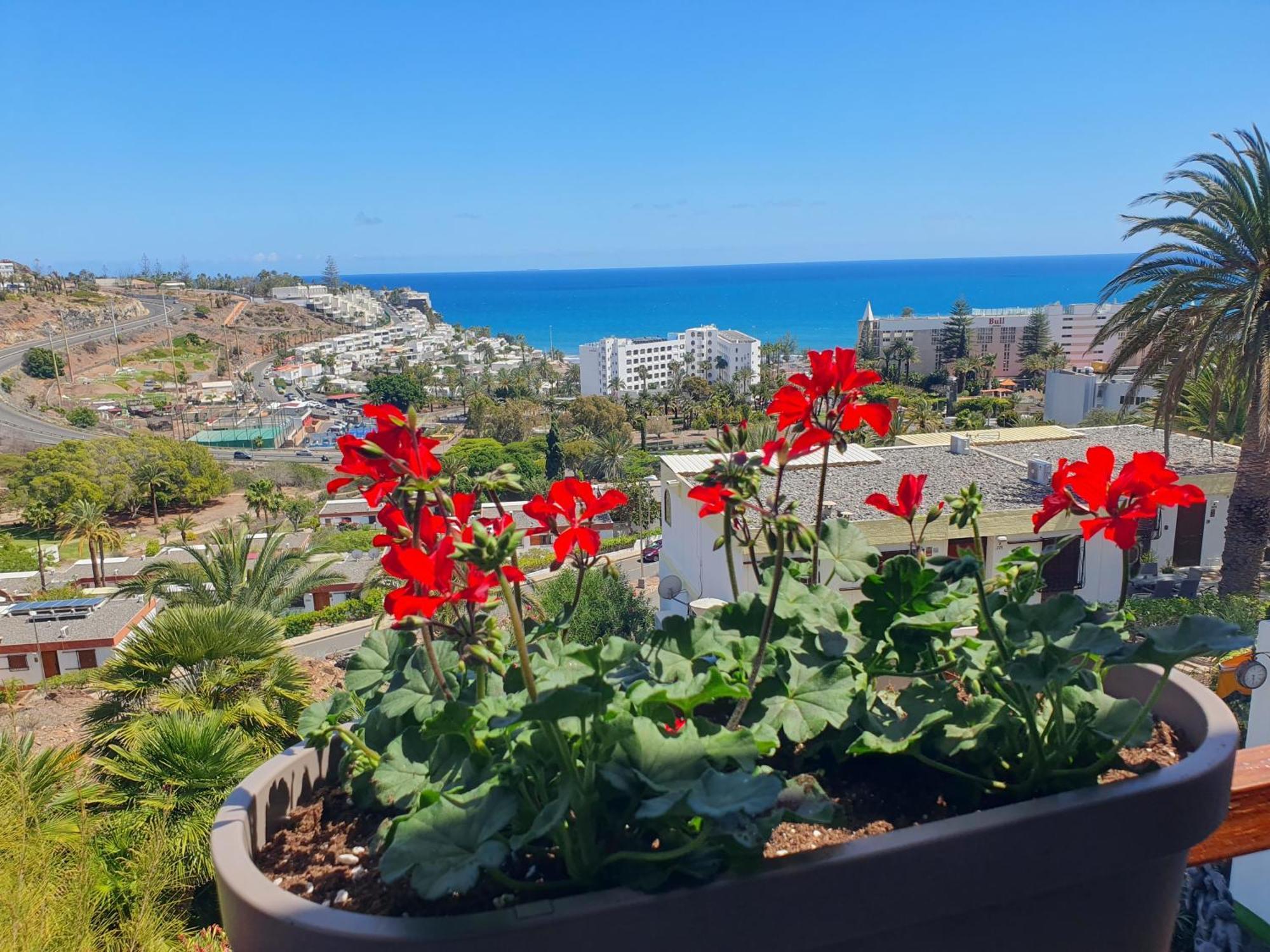 Casa Panorama 314 San Agustin Maspalomas エクステリア 写真